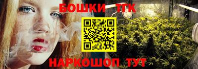 твердый Кингисепп