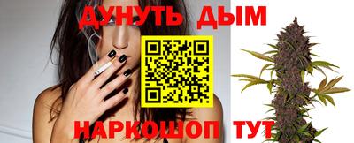 твердый Кингисепп